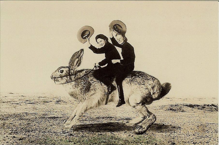Rabbit! Rabbit! Welcome to November – Artandicon's Blog